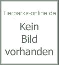 Logo (c) Zoologischer Garten